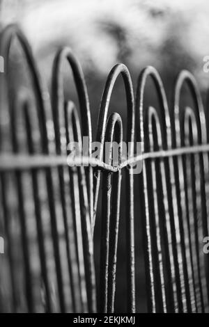 Abstrakter monochromer Hintergrund eines beschädigten Zauns in einem öffentlichen Park. Stockfoto