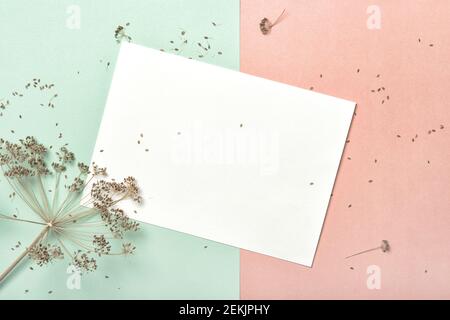 Floral flach legen wth getrocknete Pflanze und weißes Papier mockup Stockfoto