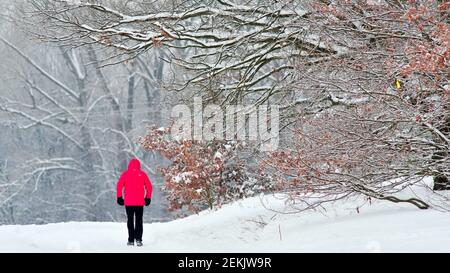 Braunschweig, Deutschland. Februar 2021, 12th. Ein Mann im roten Anorak spaziert am Waller Weg im Ortsteil Veltenhof an schneebedeckten Bäumen vorbei. Quelle: Stefan Jaitner/dpa/Alamy Live News Stockfoto