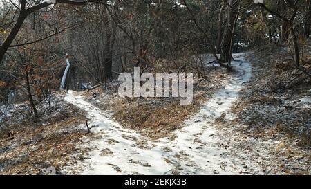 Zwei Kreuzungen in den Winterbergen Stockfoto