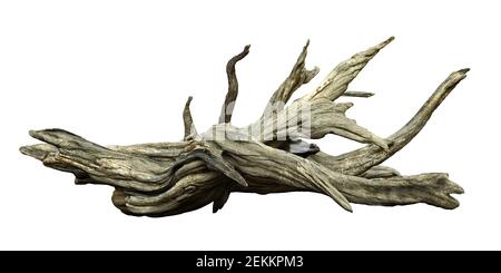 driftwood isoliert auf weißem Hintergrund, gealterte Äste Stockfoto