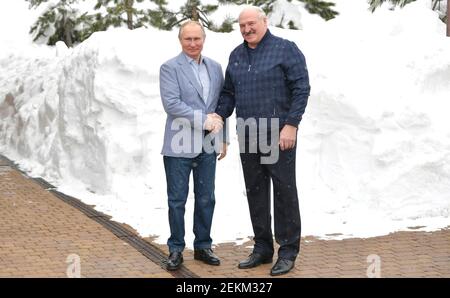 Sotschi, Russland. Februar 2021, 22nd. Der russische Präsident Wladimir Putin begrüßt den belarussischen Präsidenten Alexander Lukaschenko, rechts, in seiner Residenz am Schwarzen Meer am Kap Idokopas am 22. Februar 2021 in Sotschi, Russland. Quelle: Planetpix/Alamy Live News Stockfoto