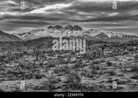 Winteransicht der Bush Fire Brandnarbe und Four Peaks Wilderness im Tonto National Forest etwa 45 Meilen nordnordöstlich von Phoenix, Arizo Stockfoto