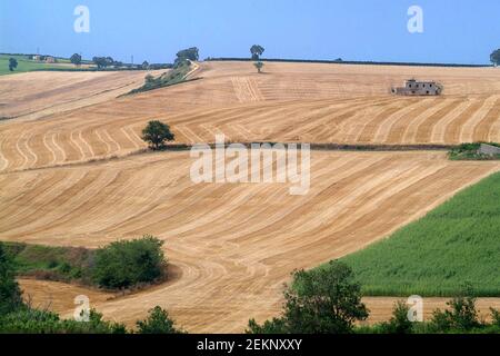 Sonnige Landschaften in der Molise Landschaft im südlichen Italien. Stockfoto