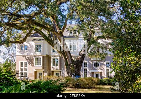 Luxus-Eigentumswohnungen sind auf der Government Street im Oakleigh Garden Historic District abgebildet, 19. Februar 2021, in Mobile, Alabama. Stockfoto