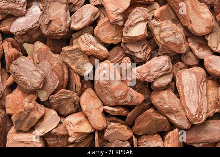 Kiefernrinde, Draufsicht. Hintergrund der getrockneten Pinienrinde. Stockfoto