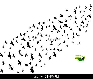 Eine große Schar fliegender Vögel. Vektorgrafik Stock Vektor