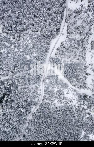 Luftaufnahme eines verschneiten Pinienwald und Straße, Wanderweg. Österreichische Wälder in der Steiermark im Winter Stockfoto