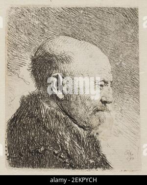 Rembrandt van Rijn (1606-1669), Glatze im Profil (Rembrandts Vater?), 1630 Stockfoto
