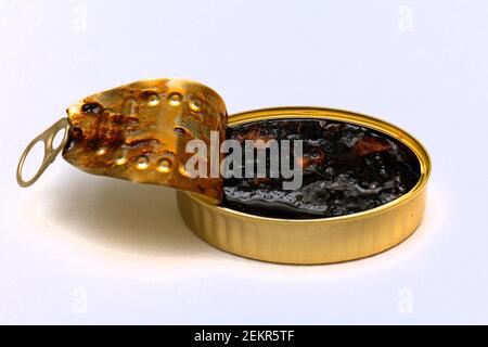 Offene GoldmetallDose mit gehackten Tintenfische in schwarzer Tinte Sauce auf weißem Hintergrund Stockfoto