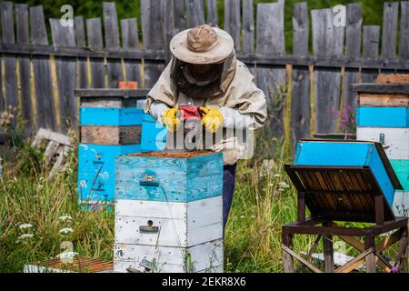 Bienenmeister auf Bienenhaus. Mann in Schutzhut arbeitet mit Schornstein im Bienenstock. Imker untersucht Bienen auf einer Bienenfarm auf grünem Naturhintergrund Stockfoto