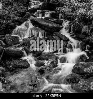 Wasserkaskaden über Mossy Rocks in Schwarz und Weiß Stockfoto