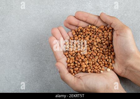 Weibliche Hände halten rohe braune Kidney Bohnen Stockfoto