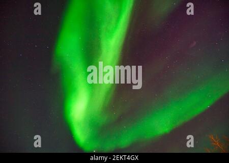 Aurora borealis am Nachthimmel. Die hellen Farben sind grün, gelb und rot. Fotografiert in Alaska, USA am 17. März 2016 Stockfoto