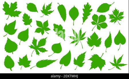 Baum grün Blätter isoliert Silhouette Symbole. Vector Waldbäume Blatt aus Ahorn, Eberesche oder Kastanie und Eiche, Ulme oder Espe und Pappel, Öko-Natur envion Stock Vektor