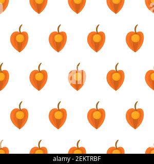 Nahtloses Muster mit Physalis. Orange Früchte inka-Beere. Bio-Textil. Vektor Natur Grafik Hintergrund. Stock Vektor