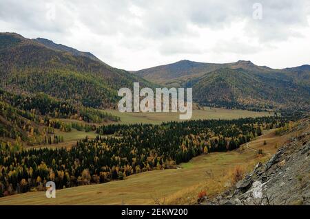 Blick vom Gipfel des Berges auf das mit seltenen Nadelwäldern bewachsene intermountain-Tal. Altai, Sibirien, Russland. Stockfoto