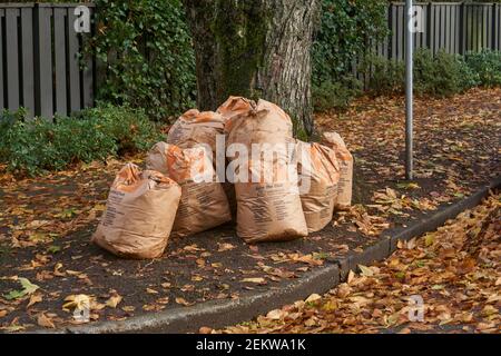 Kompostierbare Blatt Sammlung Taschen sitzen auf dem Bürgersteig im Herbst, Vancouver, British Columbia, Kanada Stockfoto