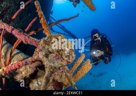 Scuba Diver strahlendes Licht über dem Ruder der Hilma Hooker, Bonaire, Leeward Antillen Stockfoto