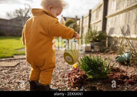 Ein kleines Kind hilft im Garten Pflanzen wässern Mit einer Gießkanne Stockfoto