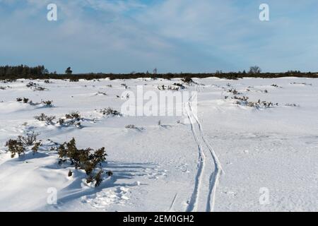 Skipisten in einer großen Ebene Landschaft mit Wacholder, Stora Alvaret in Schweden Stockfoto