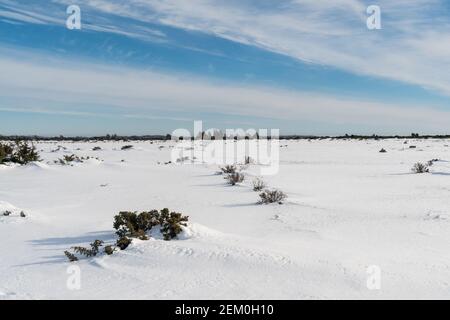 Wintersaison in einer weiten offenen Landschaft, der Großen Alvar Ebene in Schweden Stockfoto