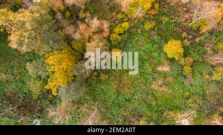 Spektakuläre Drop-down-Ansicht der Herbstbäume Wipfel wechselnden Farben. Stockfoto
