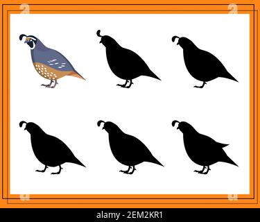Spiel für Kinder finden den richtigen Schatten. Wählen Sie den richtigen Farbton für die Wachtel Stock Vektor