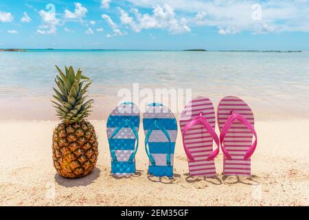 Sommer Hintergrund mit Ananas und Hausschuhe an einem tropischen Strand. Urlaub und Reisekonzept. Stockfoto