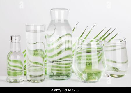 Palmblatt verzerrt durch Wasser in Gläsern und Flaschen auf weißem Hintergrund. Home Dekor, umweltfreundlich, reines Wasser, Gartenkonzept.Natur Hintergrund Stockfoto