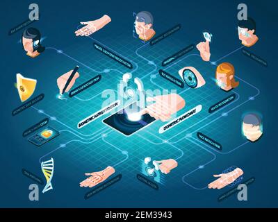 Biometrische Authentifizierungsmethoden isometrisches Flussdiagramm mit dna-Matching-Gesichtserkennung Handgeometridentifikation und Datenschutz Vektorillust Stock Vektor