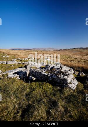 Kalksteinausbisse bei Whernside mit einem entfernten Pen Y Gent im Hintergrund. Stockfoto