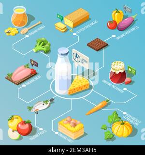 Bio-Lebensmittel einschließlich, ökologisch saubere Früchte und Gemüse, Milchprodukte isometrische Flussdiagramm auf türkisfarbenem Hintergrund Vektor-Illustration Stock Vektor