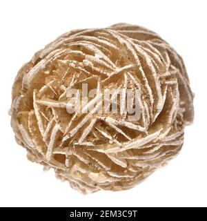 Desert Rose - Baryte (Bariumsulfat) Stockfoto