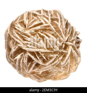 Desert Rose - Baryte (Bariumsulfat) Stockfoto