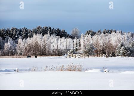 Schöne verschneite Winterlandschaft, Bäume mit Frost bedeckt. Stockfoto