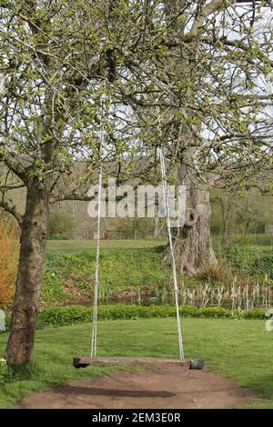 Ein großer Garten hölzerne Schaukel hängend von einem Baum. Stockfoto