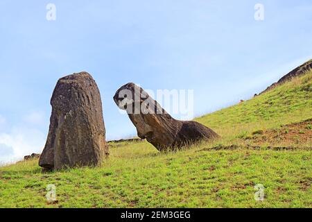 Verlassene unfertige riesige Moai Statuen am Hang des Rano Raraku Vulkans, Osterinsel, Chile Stockfoto