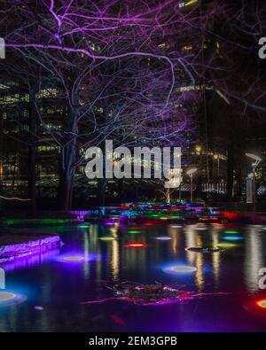 Connected by Light at Canary Wharf: Ghost Trees ist ein ortsspezifisches Kunstwerk, das die Aufmerksamkeit auf ein außergewöhnliches prähistorisches Ereignis lenkt. Stockfoto