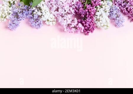 Blumenzusammensetzung. Rahmen aus Fliederblüten auf rosa Hintergrund. Flach liegend, Draufsicht, Kopierbereich Stockfoto