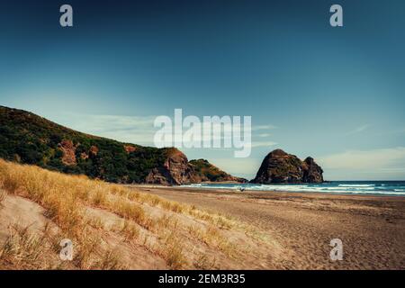 Der schöne Piha Strand rund um den berühmten Lion Rock, Neuseeland Stockfoto