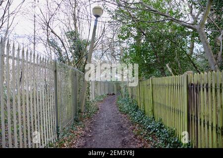 Schlammiger Weg zwischen zwei Zäunen neben highgate wood london england gb Stockfoto