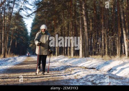 Aktiv eine ältere Frau, die mit Stöcken Nordic Walking betreibt Im Winterwald Stockfoto