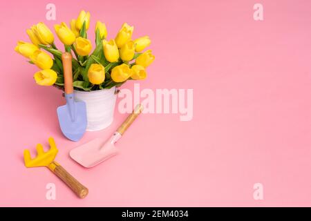 Frühling gelbe Tulpen in Topf auf rosa Hintergrund, Gartengeräte. Federkonzept, flach liegend. Osterhintergrund. Speicherplatz kopieren. Studioaufnahme Stockfoto