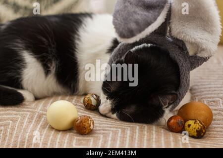 Osterjagd-Konzept. Niedliche Katze in Hasenohren schläft mit modernen Pastell-ostereiern auf kuscheliger gelber Decke. Liebenswert Haustier ruht auf natürliche gefärbte Eier. Stockfoto