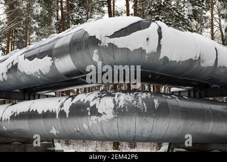 Riesige industrielle Metallrohrleitungen im Wald. Nahaufnahme. Schnee auf Rohren. Winterlandschaft. Stockfoto