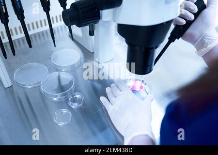 Mikroskop der Reproduktionsmedizin Klinik Befruchtung Ei außerhalb des weiblichen Körpers Stockfoto