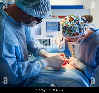 Nahaufnahme von Ärzten, die plastische chirurgische Operation im Krankenhaus durchführen. Chirurg und Assistent mit medizinischen Instrumenten und Entfernen von überschüssigem Fett aus dem Bauch des Patienten. Konzept der Bauchstraffung. Stockfoto