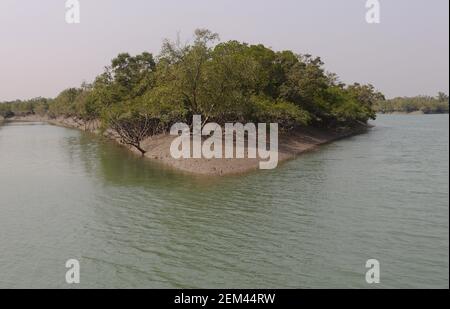 Schöne Aussicht auf den Wald bei Sundarban Stockfoto