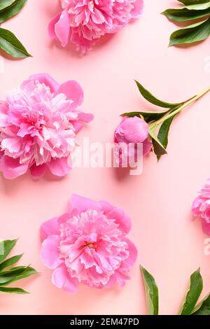 Florales Muster aus rosa Pfingstrosen-Blüten auf rosa. Stockfoto